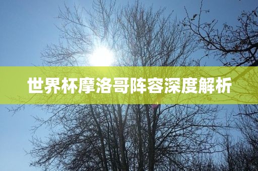 世界杯摩洛哥阵容深度解析洛阳市法福文化传播有限公司