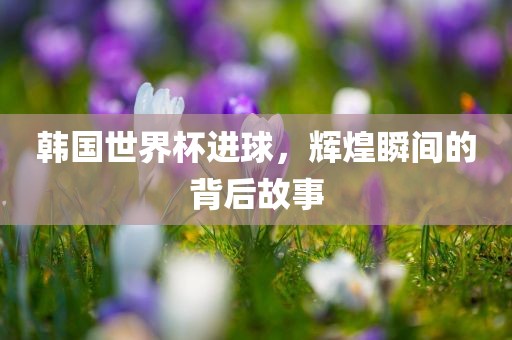 韩国世界杯进球，辉煌瞬间的背后故事洛阳市法福文化传播有限公司