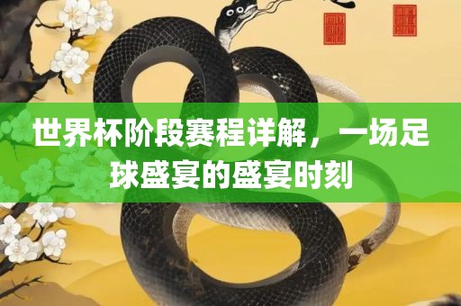世界杯阶洛阳市法福文化传播有限公司段赛程详解，一场足球盛宴的盛宴时刻