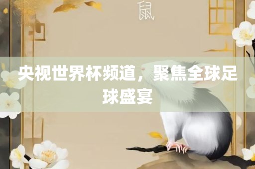 央视世界杯频道，聚焦全球足球盛宴