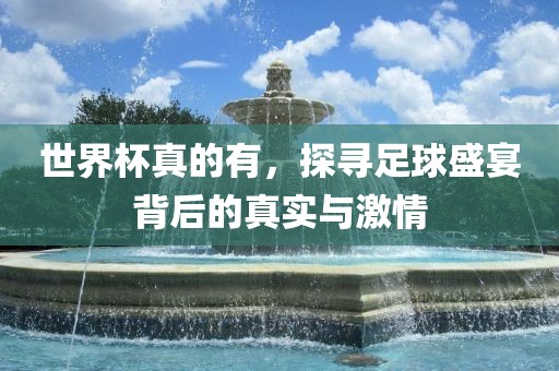 世界杯真的有，探寻足球盛洛阳市法福文化传播有限公司宴背后的真实与激情