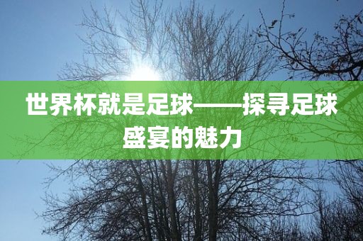 世界杯就是足球——探寻足球盛宴的魅力洛阳市法福文化传播有限公司