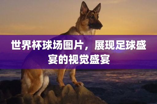 世界杯球场图片，展现足球盛宴的视觉盛宴