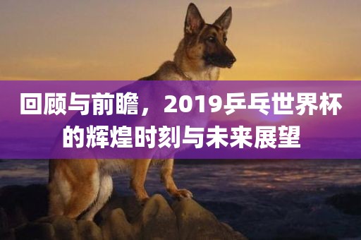 回顾与前瞻，2019乒乓世界杯的辉煌时刻与未来展望