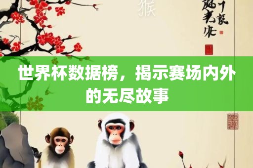 世界杯数据榜，揭示赛场内外的无尽故事