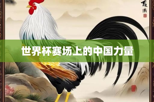 世界杯赛场上的中国力量