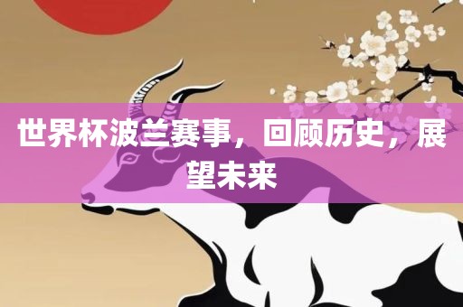 世界杯波兰赛事，回顾历史，展望未来洛阳市法福文化传播有限公司