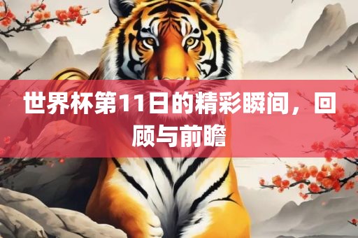 世界杯第11日的精彩瞬间，回顾与前瞻
