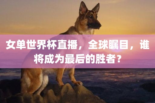 女单世界杯直播，全球瞩目，谁将成为最后的胜者？洛阳市法福文化传播有限公司