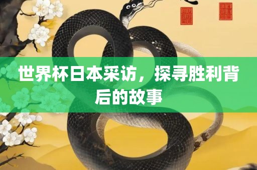 linshuhui 第5页
