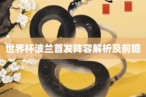 世界杯波兰首发阵容解析及前瞻洛阳市法福文化传播有限公司