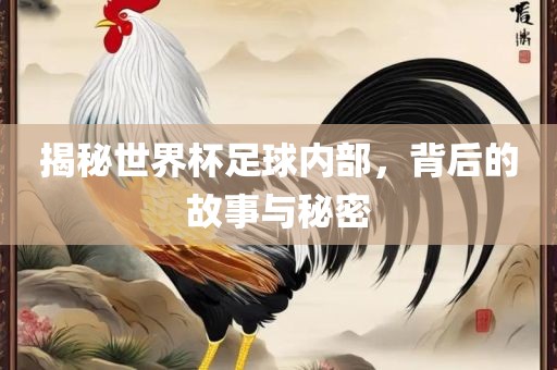 揭秘世界杯足球内部，背后的故事与秘密洛阳市法福文化传播有限公司