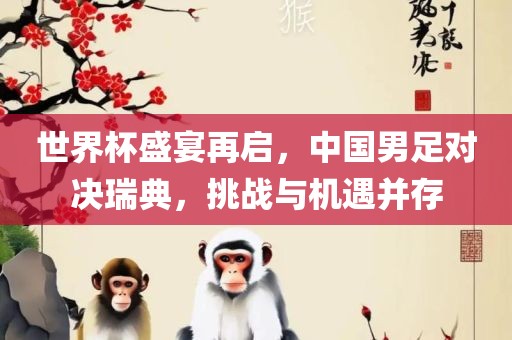 世界杯盛宴再启，中国男足对决瑞典，挑战与机遇并洛阳市法福文化传播有限公司存