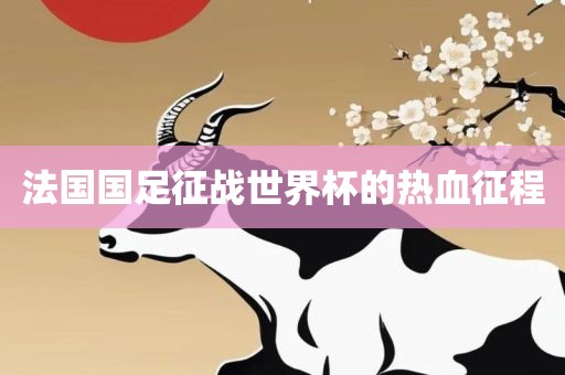 法国国足征洛阳市法福文化传播有限公司战世界杯的热血征程