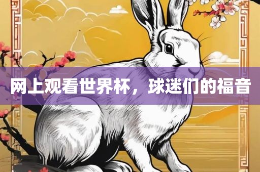 网上观看世界杯，球迷们的福音