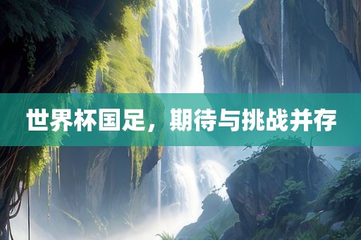 世界杯国足，期待与挑战并存