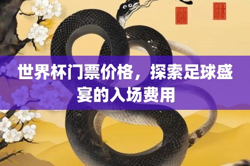 世界杯门票价格，探索足球盛宴的入场费用