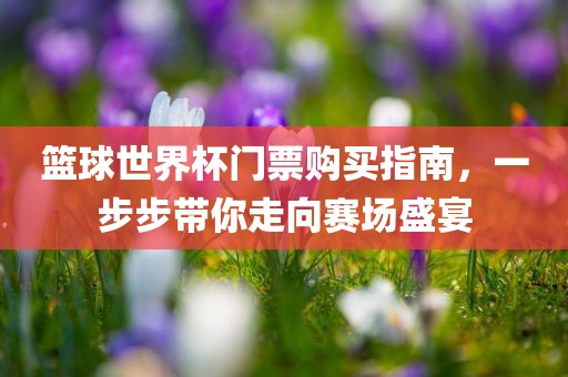 篮球世界杯门票购买指南，一步步带你走向赛场盛宴洛阳市法福文化传播有限公司