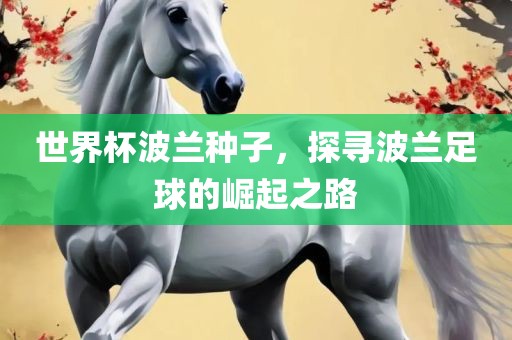世界杯波兰种子，探寻波兰足球的崛起之路