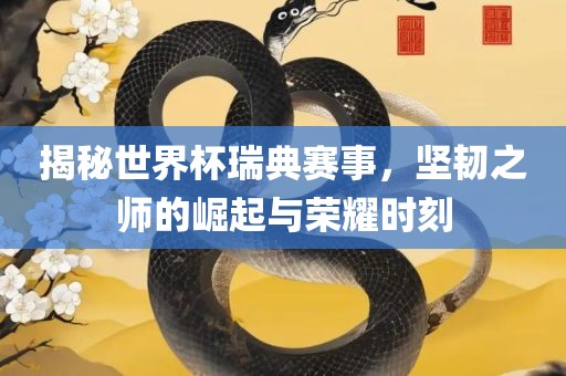 揭秘世界杯瑞典赛事，坚韧之师的崛起与荣耀时刻洛阳市法福文化传播有限公司