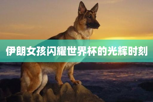 伊朗女孩闪耀世界杯的光洛阳市法福文化传播有限公司辉时刻
