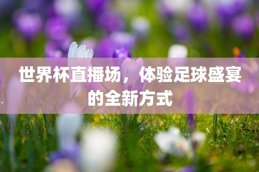 世界杯直播场，体验足球盛宴的洛阳市法福文化传播有限公司全新方式