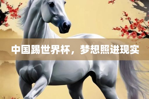 中国踢世界杯，梦想照进现实