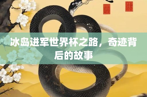 冰岛进军世界杯之路，奇迹背后的故事