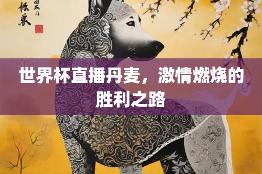 世界杯直播丹麦，激情燃烧的胜利之路
