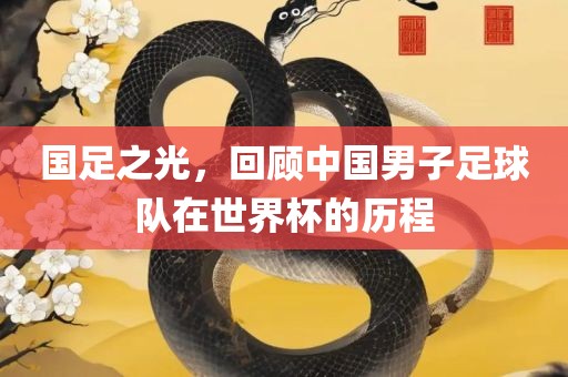 国足之光，回顾中国男子足球队在世界杯的历程