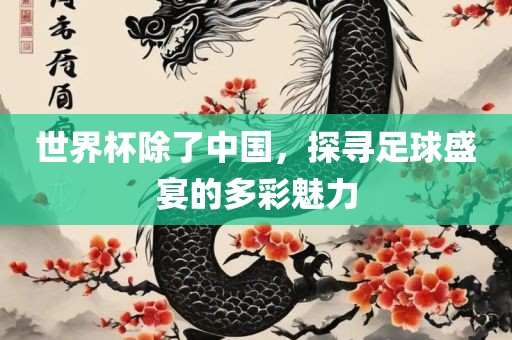世界杯除了中国，探寻洛阳市法福文化传播有限公司足球盛宴的多彩魅力