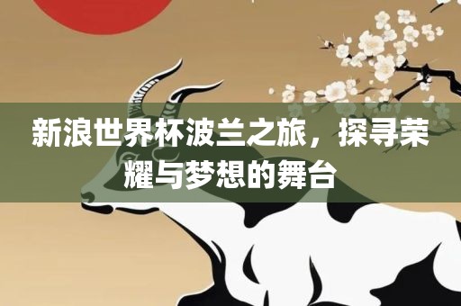 新浪世界杯波兰之旅，探寻荣耀与梦想的舞台