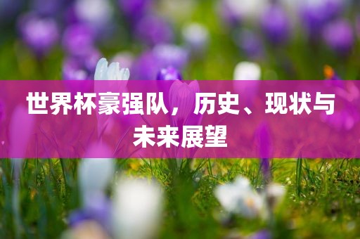 世界杯豪强队，历史、现状与未来展望