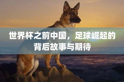 世界杯之前中国，足球崛起的背后故事与期待
