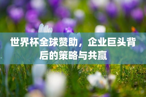 世界杯全球赞助，企业巨头背后的策略与共赢洛阳市法福文化传播有限公司