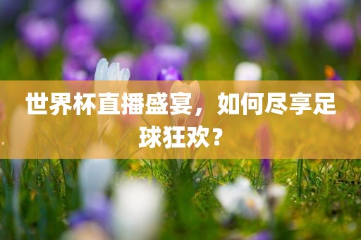 世界杯直播盛宴，如何尽享足球狂欢？