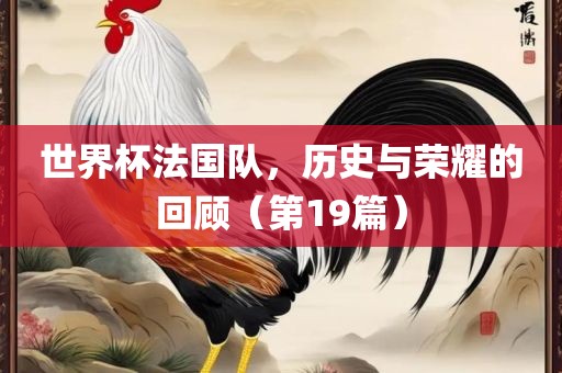 世界杯法国队，历史与荣耀的回顾（第19篇）