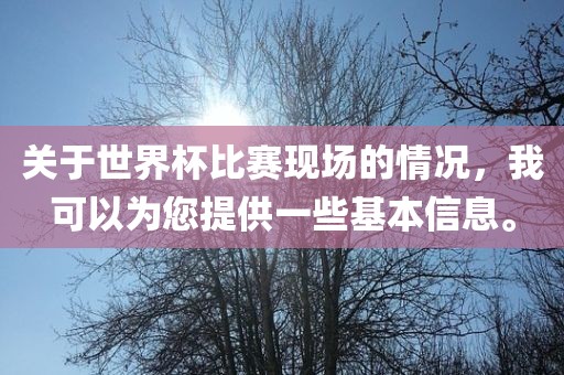 关于世界杯比赛现场的情况，我可以为您提供一些基本信洛阳市法福文化传播有限公司息。