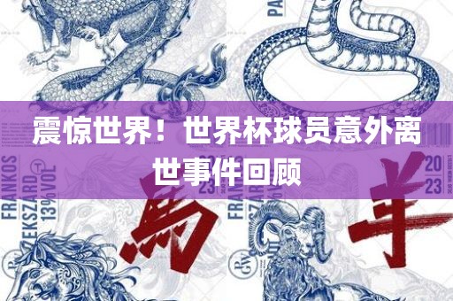 lizhengqiao 第4页