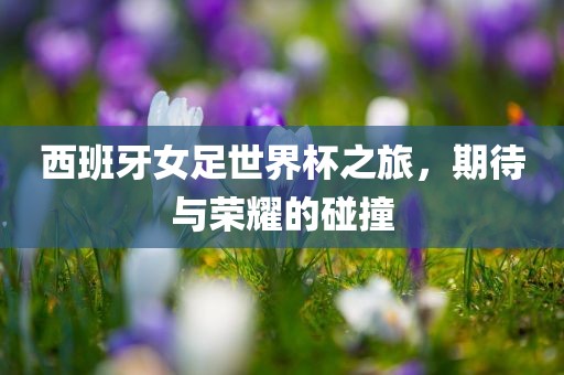 西班牙女足世界杯之旅，期待与荣耀的碰撞
