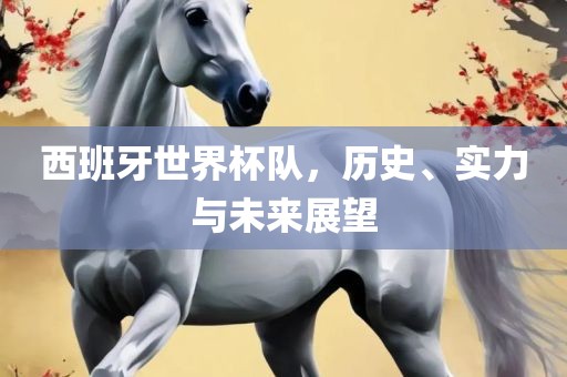 西班牙世界杯队，历史、实力与未来展望
