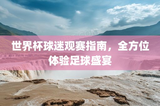 世界杯球迷观赛指南，全方位体验足球盛宴