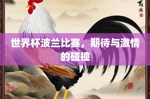 世界杯波兰比赛，期待与激情的碰撞