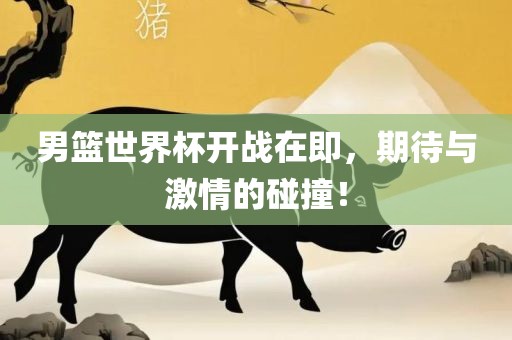 男篮世界杯开战在即，期待与激情的碰撞！洛阳市法福文化传播有限公司