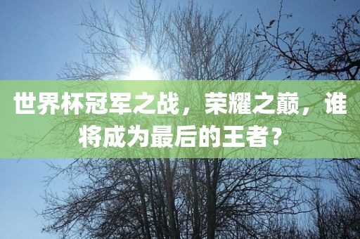 世界杯冠军之战，荣耀之巅，谁将成为最后的王者？