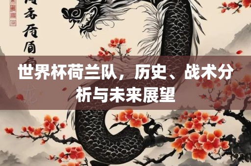 世界杯荷兰队，历史、战术分析与未来展望
