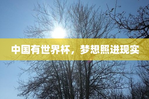 中国有世界杯，梦想照进现实