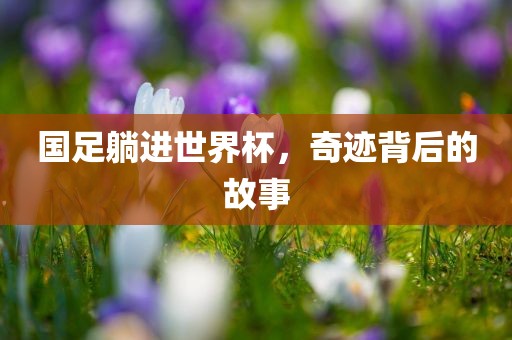 国足躺进世界杯，奇迹背后的故事