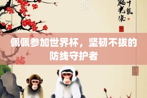佩佩参加世界杯，坚韧不拔的防线守护者洛阳市法福文化传播有限公司