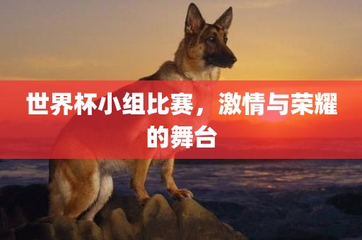世界杯小组比赛，激情与荣耀的舞台洛阳市法福文化传播有限公司